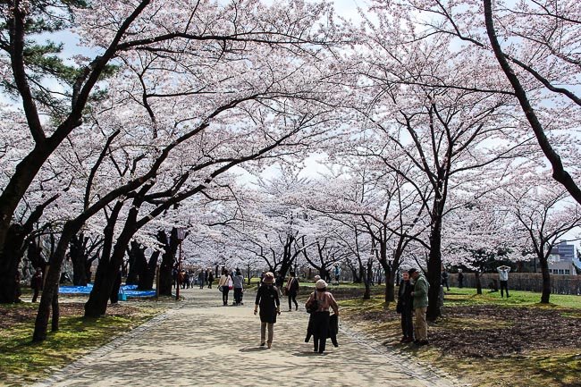 🏞️ 중앙공원(센트럴 파크) 이미지 5
